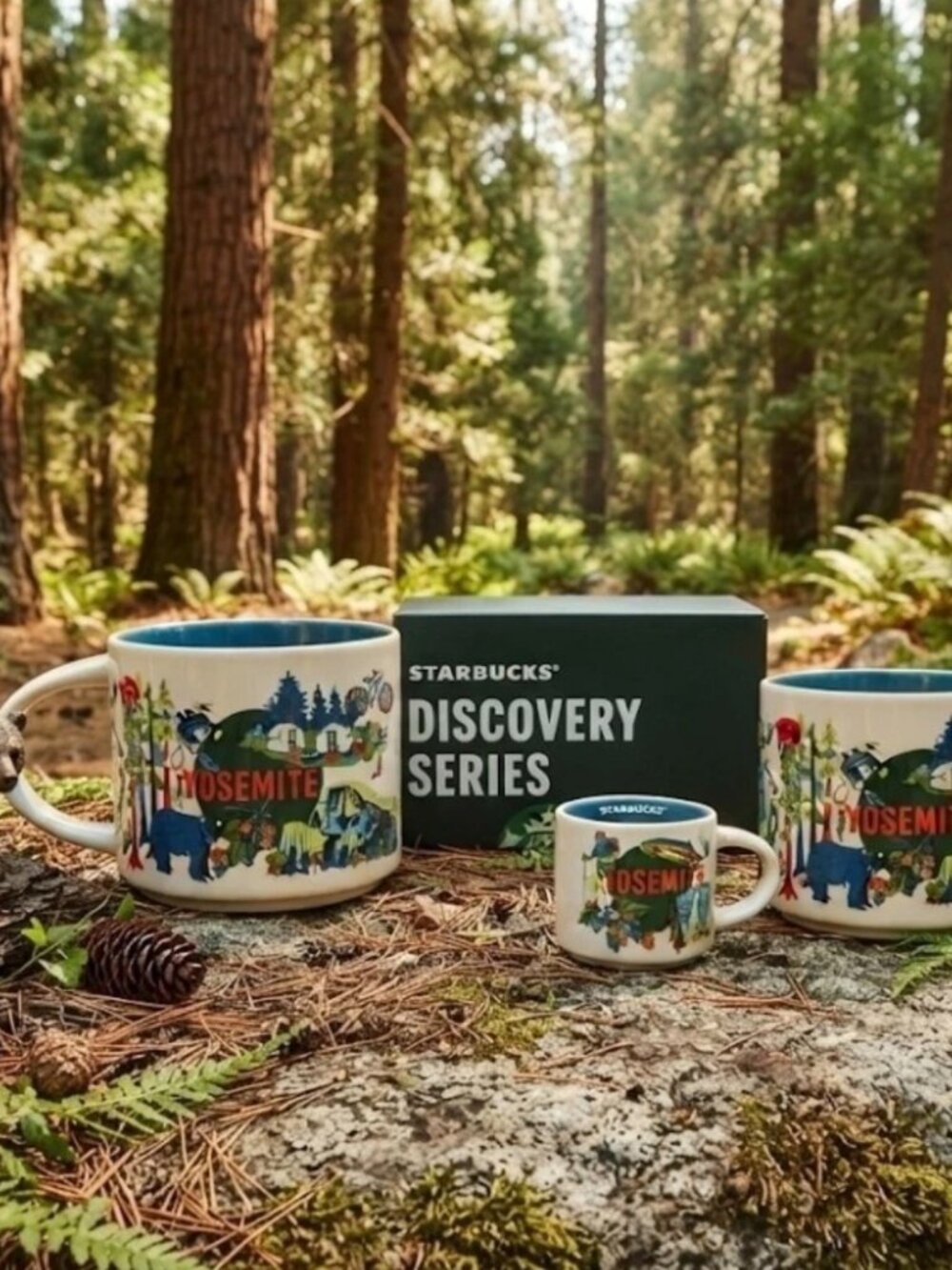 Set of 3 Starbucks Yosemite Discovery Series Ceramic Mug Oz With Box